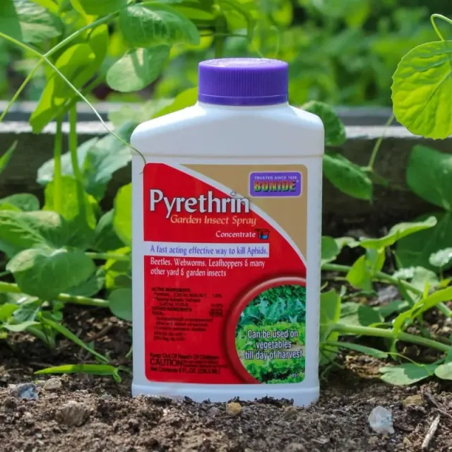 Pinetree Garden Seeds Pyrethrin Garden Insect Spray 8oz Botanical