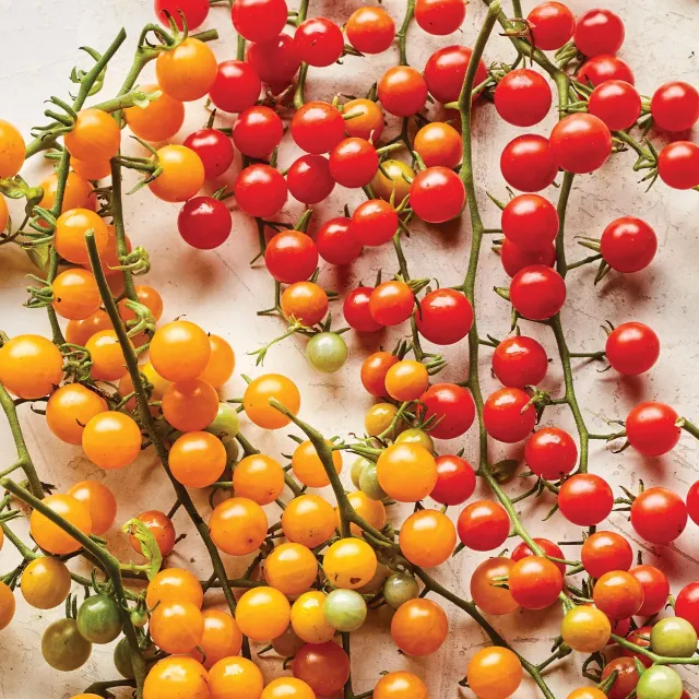 Burpee Red Currant Tomato Seeds Sweet-Tart