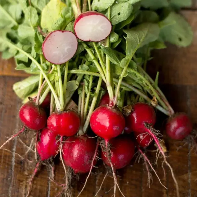 Pinetree Garden Seeds Cherry Belle Radish Seeds 300 Seeds Heirloom