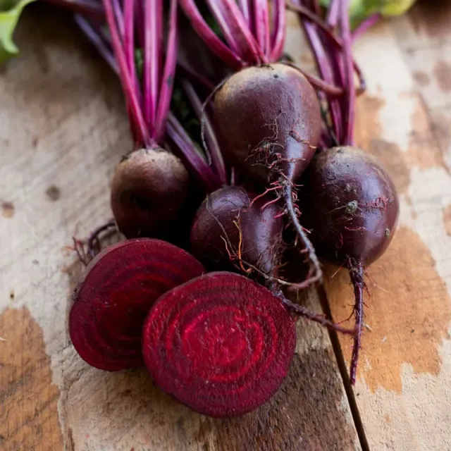Pinetree Garden Seeds Detroit Beet Seeds 300 Seeds Heirloom