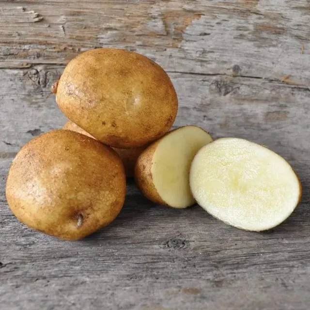 Pinetree Garden Seeds Keuka Gold Seed Potatoes 2 lb Yellow-Flesh
