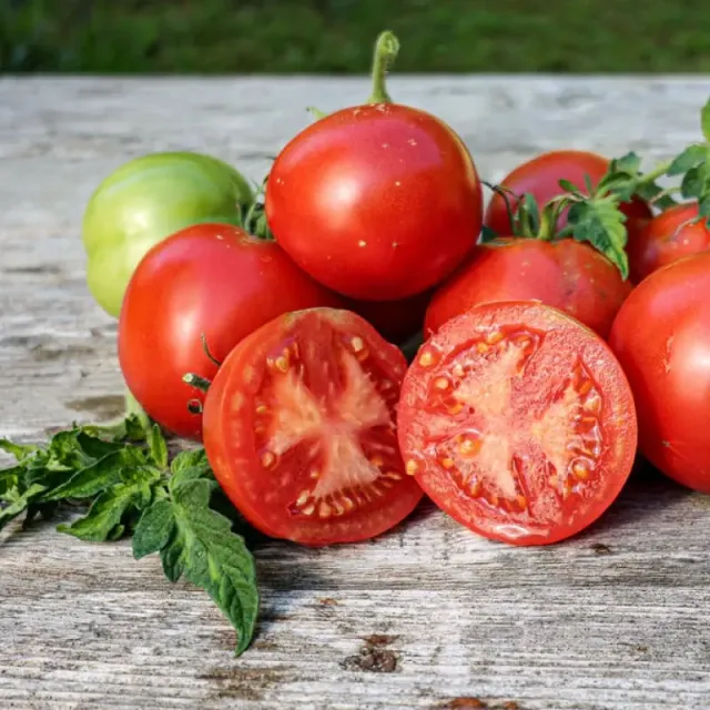 Pinetree Garden Seeds Bonny Best Tomato Seeds 25 Seeds Heirloom