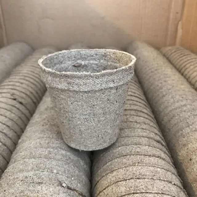 Pinetree Garden Seeds Peat Pots 3" Round Plantable