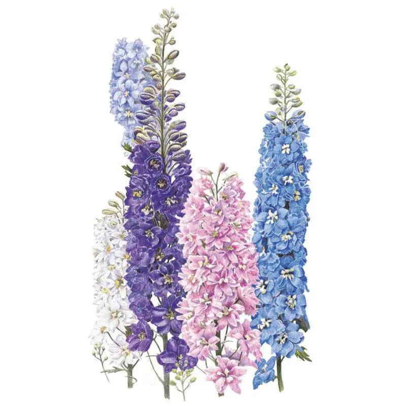 Epic Gardening Pacific Giants Blend Delphinium Seeds