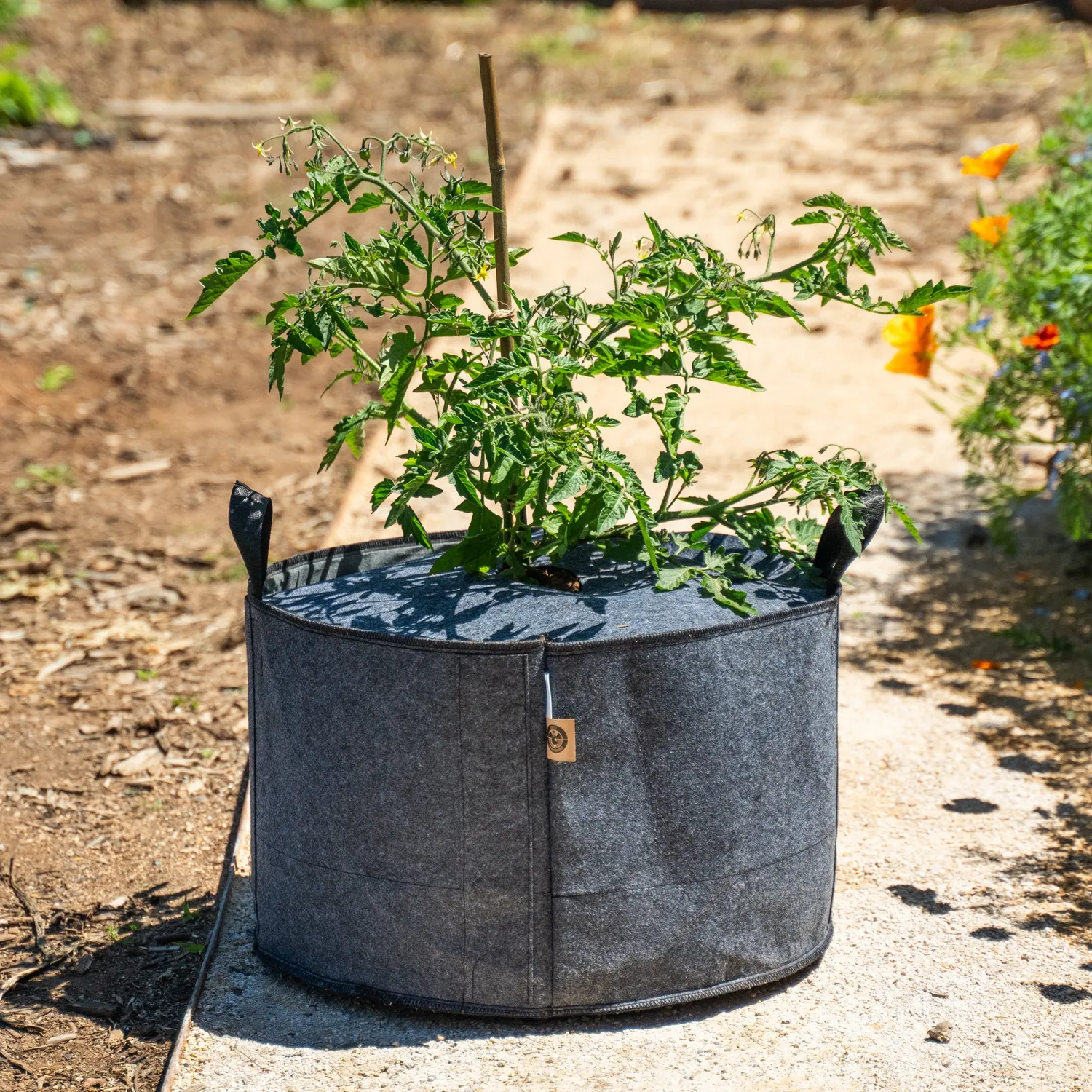 Epic Gardening Plantable Fabric Covers