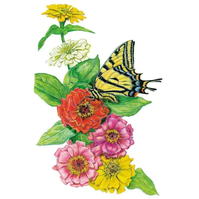 Epic Gardening Thumbelina Zinnia Seeds Heirloom