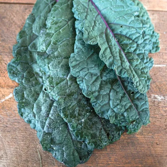 Pinetree Garden Seeds Dazzling Blue Kale Seeds Organic 30 Seeds