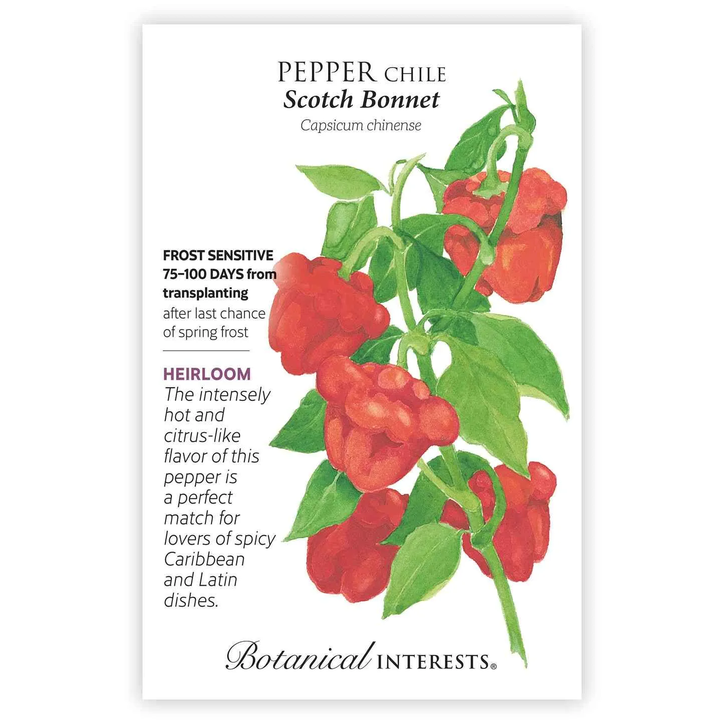 Epic Gardening Heatwave Seed Bundle Hot Pepper Collection