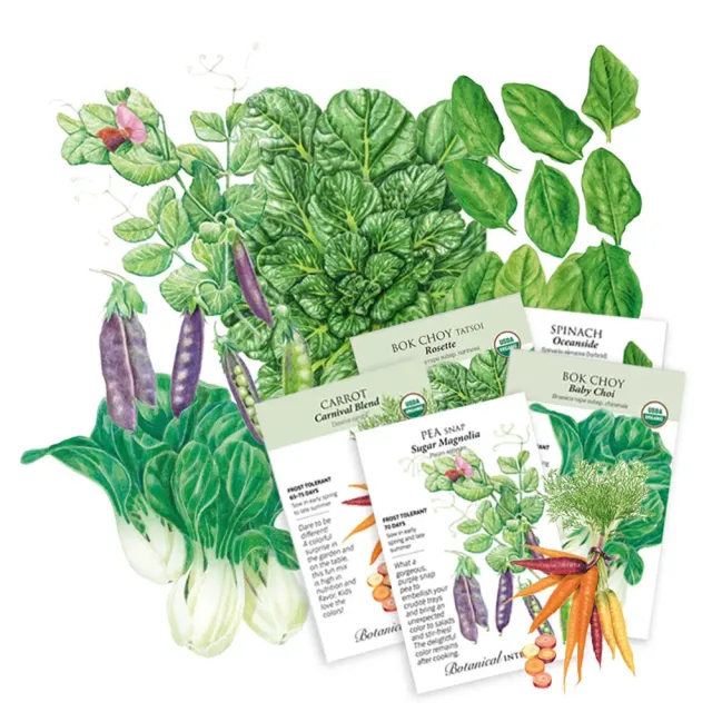Epic Gardening Stir Fry Garden Seed Bundle 5-Pack Wok Mix