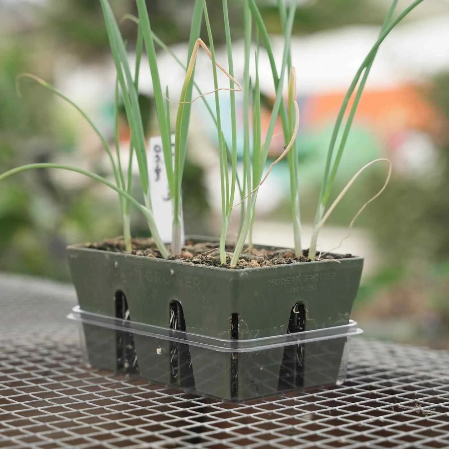 Epic Gardening Humidity Domes Clear Seed Tray Set