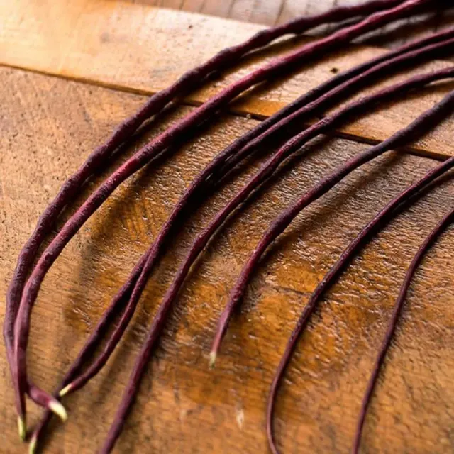 Pinetree Garden Seeds Red Noodle Bean Seeds 50 Seeds Heirloom