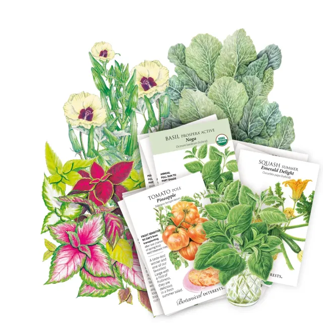Epic Gardening Southeast Seed Bundle 10 Varieties Heat-Tolerant