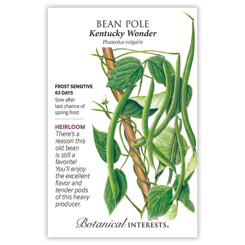 Epic Gardening Kentucky Wonder Pole Bean Seeds Heirloom