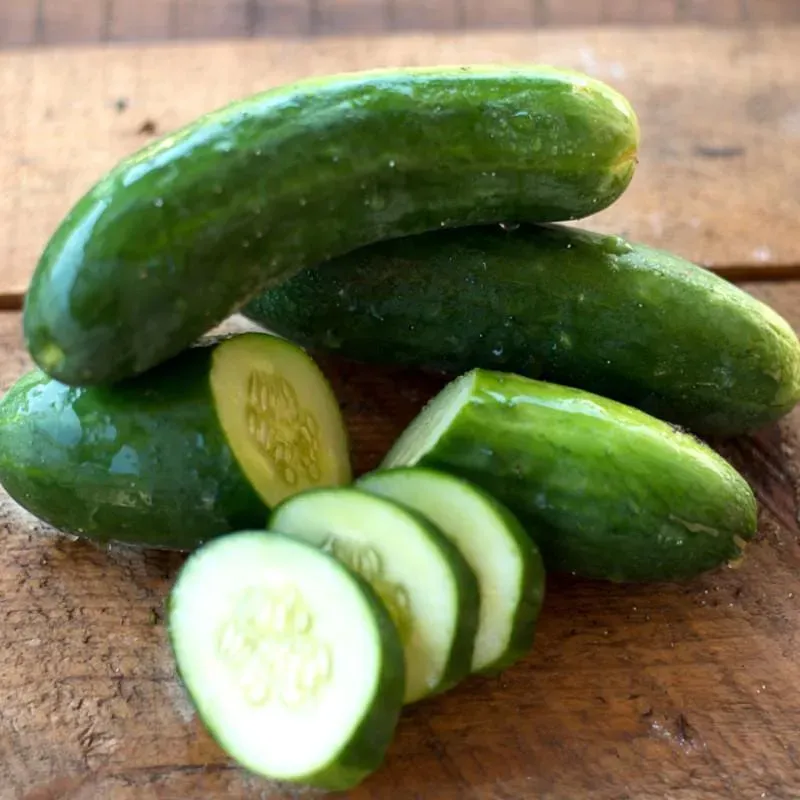 Pinetree Garden Seeds Diva Cucumber Seeds 20 Seeds Seedless