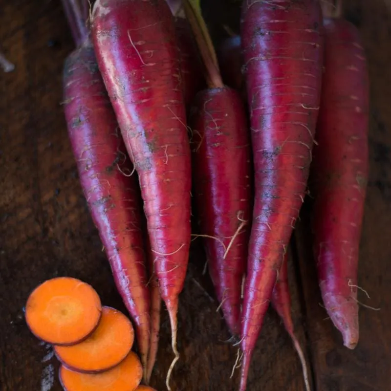 Pinetree Garden Seeds Dragon Carrot Open-Pollinated Vegetable Seeds 300 Seeds Purple Red