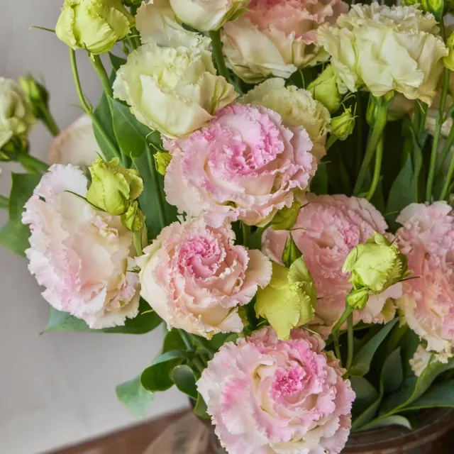 Burpee First Love Lisianthus Plant