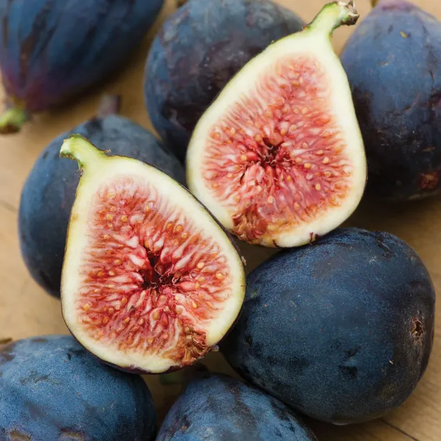 Burpee Black Mission Fig Plant 1 Plant Sweet