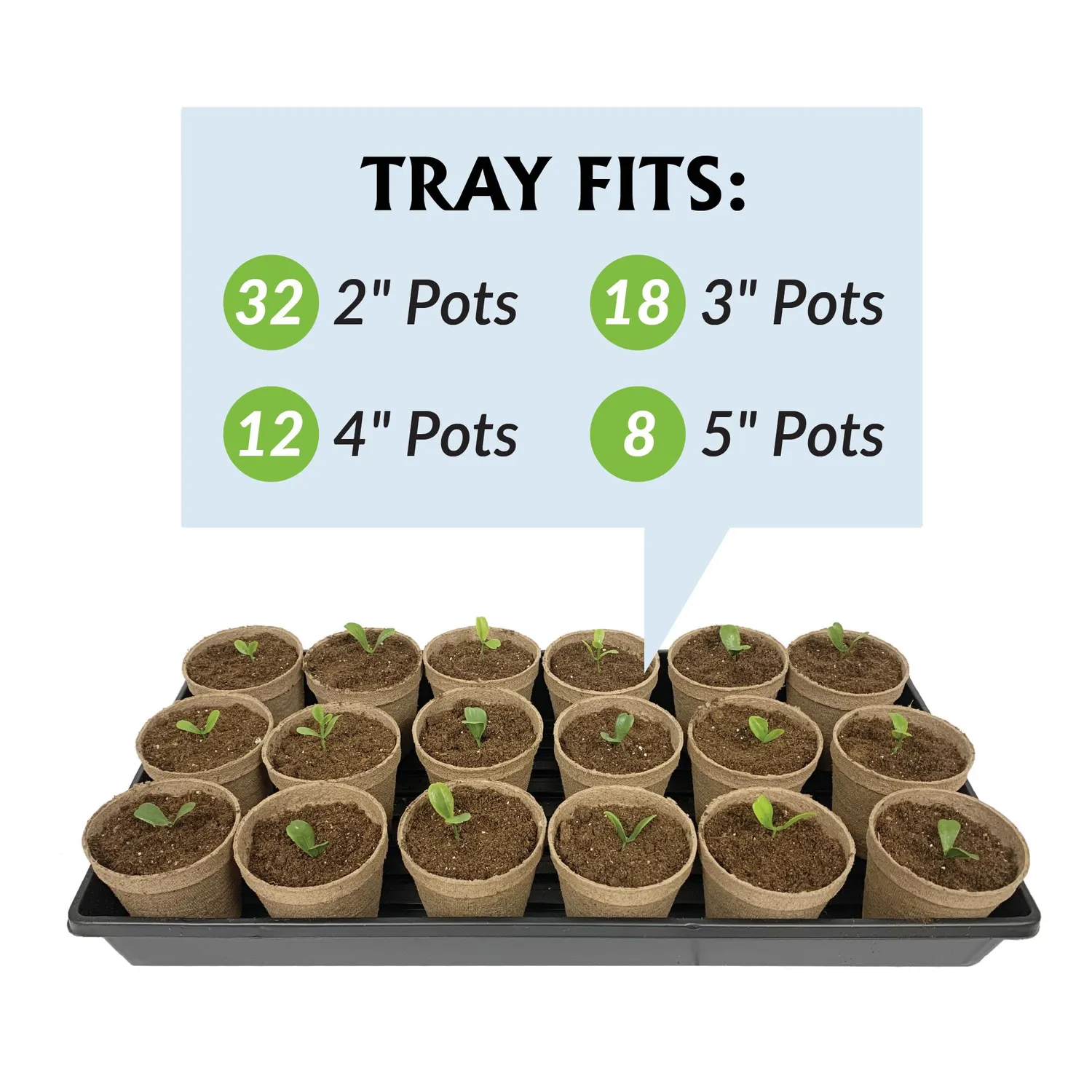 Jiffy Plant Germination Tray Plastic 10.75x21 in