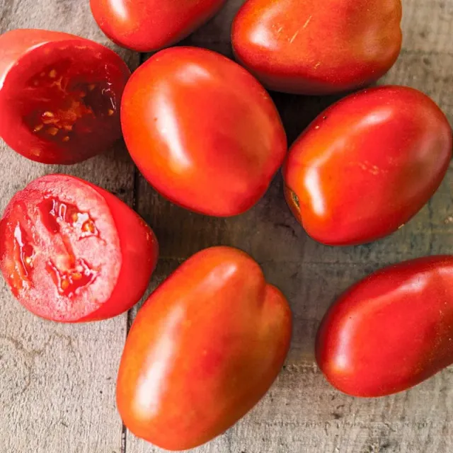 Pinetree Garden Seeds Plum Regal Tomato Seeds 10 Seeds F1 Hybrid