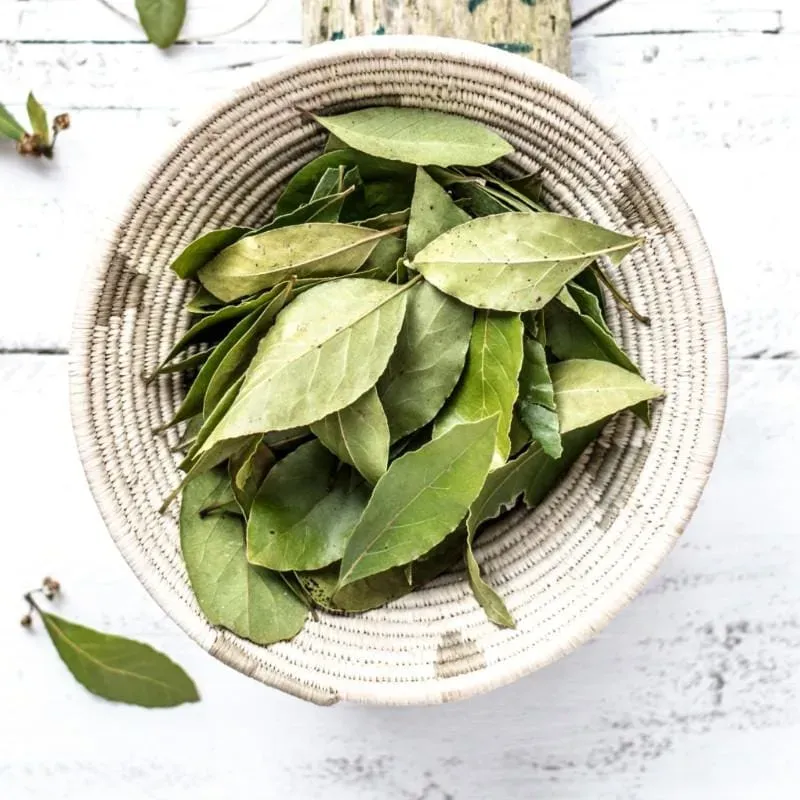 Pinetree Garden Seeds Bay Leaf Whole Organic Bay Leaves 1/2 oz