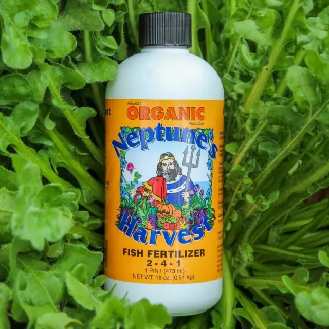 Neptune's Harvest Fish Fertilizer Pint Organic Liquid