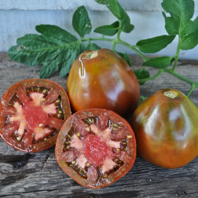 Pinetree Garden Seeds Japanese Black Trifele Tomato Seeds 20 Seeds