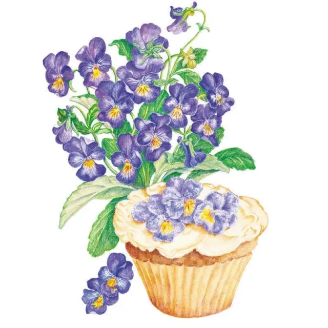 Epic Gardening King Henry Viola Seeds Purple