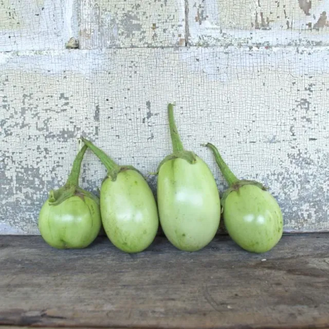 Pinetree Garden Seeds Apple Green Eggplant 70 Days Vegetable Seeds 30 Seeds