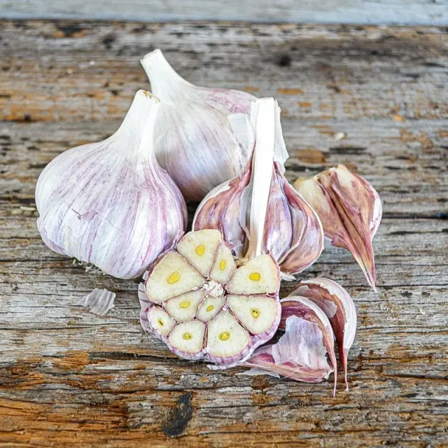 Pinetree Chesnok Red Hardneck Garlic Bulbs 3 Bulbs