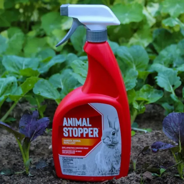 Pinetree Garden Seeds Animal Stopper Spray 32 oz Ready to Use