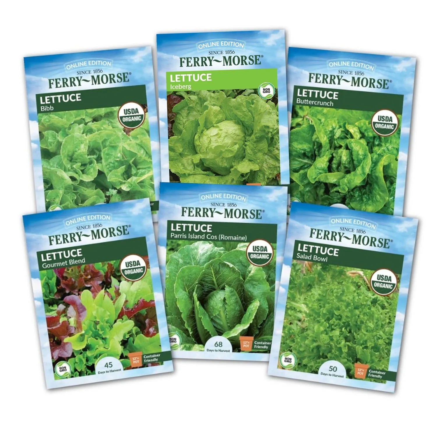 Jiffy Plant Germination Kit 36-Cell
