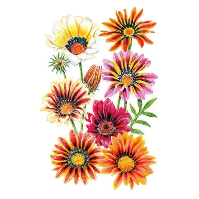 Epic Gardening Sunshine Blend Gazania Flower Seeds Heat Tolerant