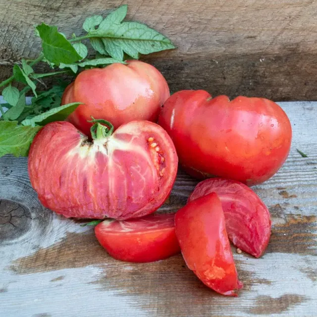 Pinetree Garden Seeds BlushingStar Tomato Seeds F1 10