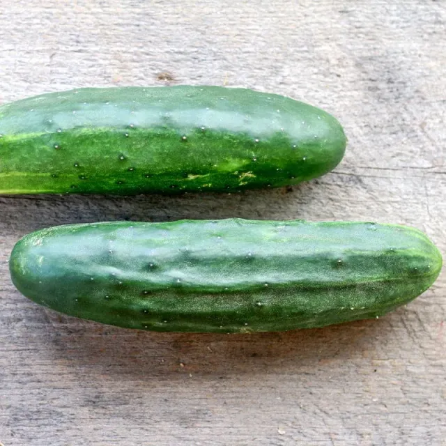 Pinetree Garden Seeds Marketmore 76 Cucumber Seeds 20 Slicer