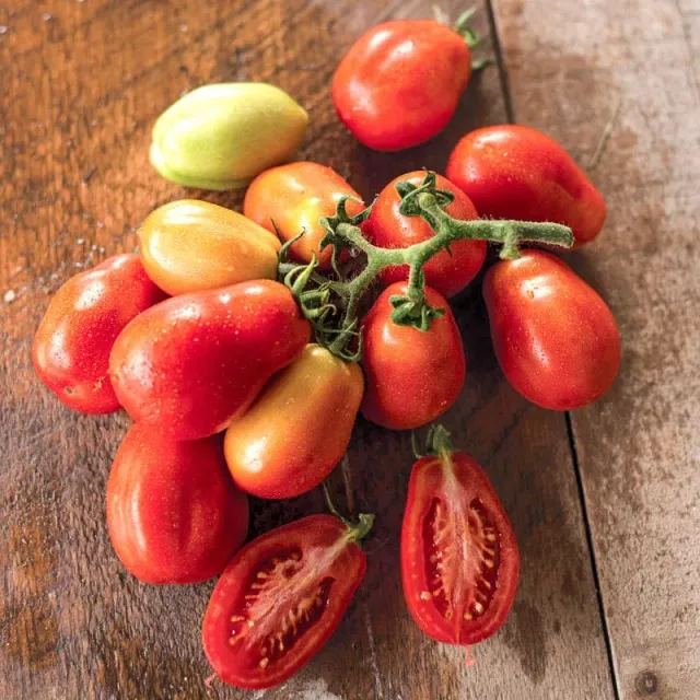 Pinetree Roma Tomato Seeds 35 Seeds Determinate Paste