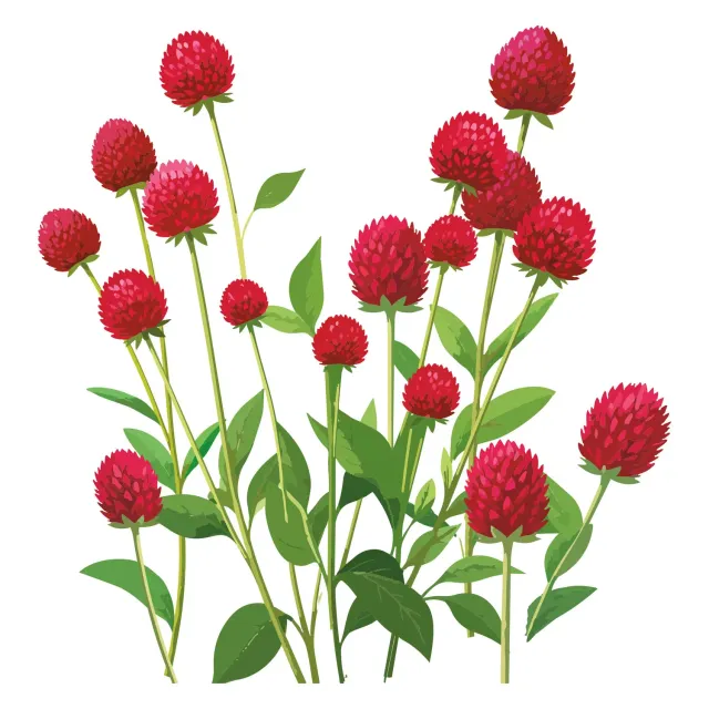 Epic Gardening Strawberry Fields Gomphrena Seeds Red