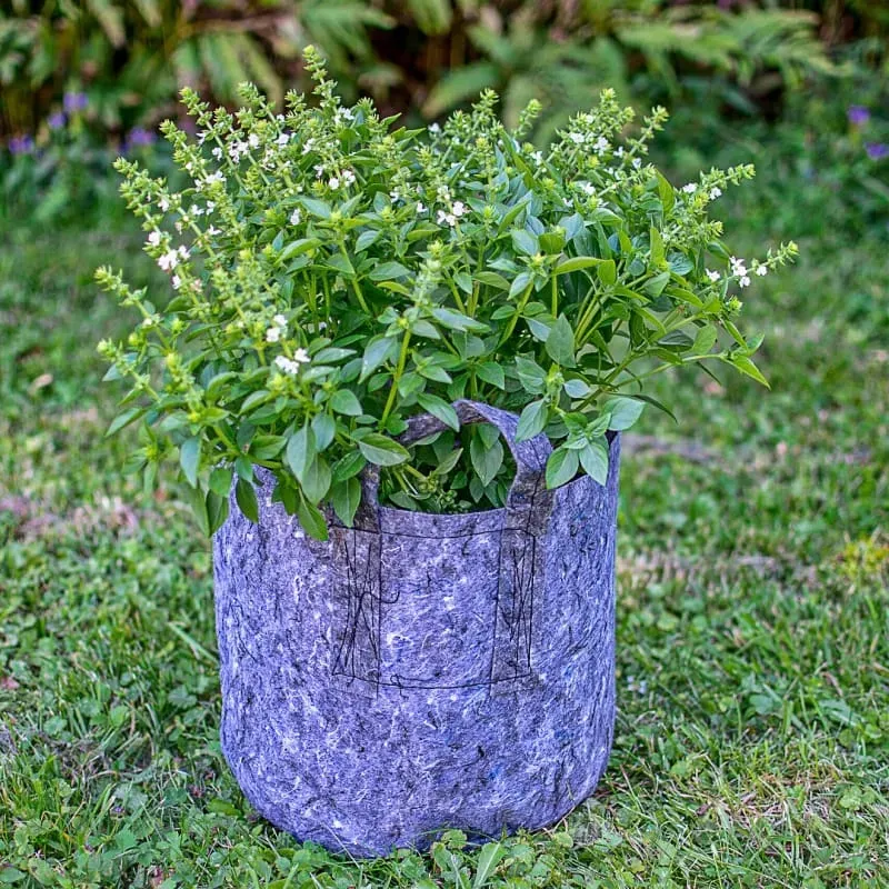 Root Pouch Grey Grow Bag with Handles