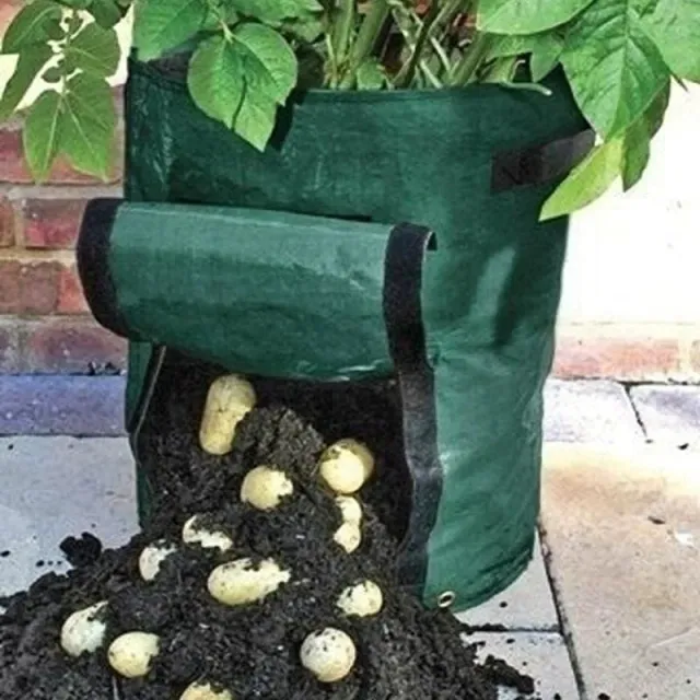Pinetree Garden Seeds Bosmere Potato Grow Bag 1 Bag 36 Quart