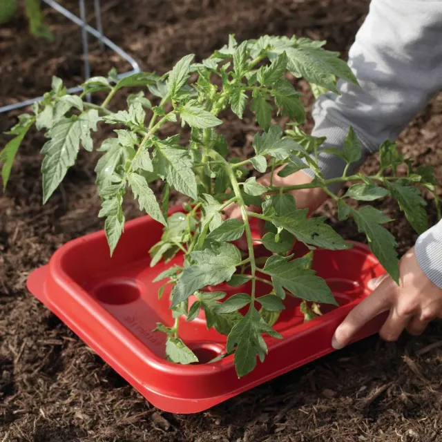Burpee Tomato & Pepper Automator Trays
