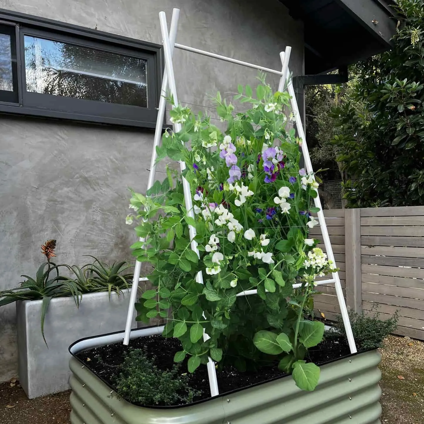 Epic Gardening Terra Modern A-Frame Trellis Steel