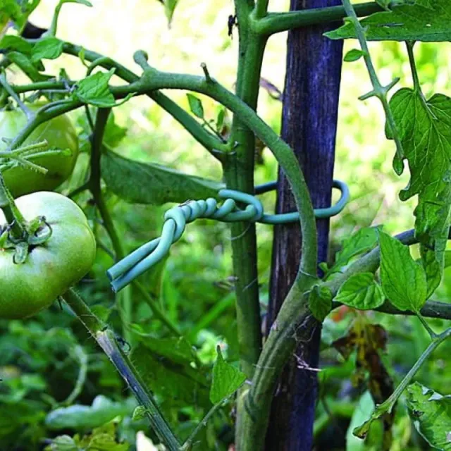 Pinetree Garden Seeds Soft Twist Tie Plant Ties 16 Feet Green