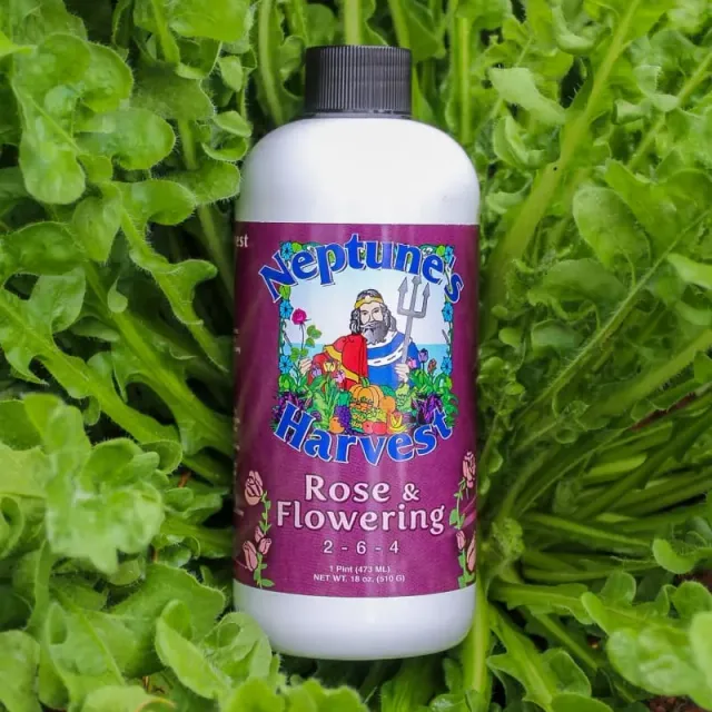 Neptunes Harvest Rose and Flowering Fertilizer Pint 2-6-4 Formula