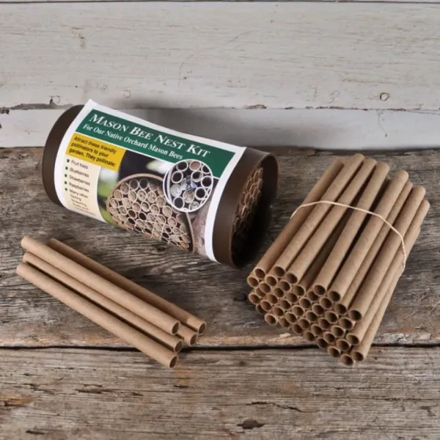 Pinetree Garden Seeds Mason Bee Nest Tubes 50 Pack 6-Inch