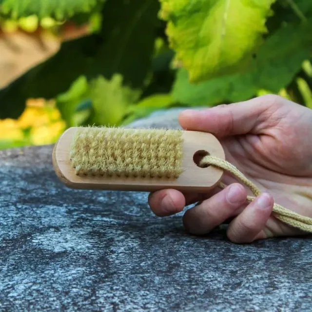 Pinetree Garden Seeds Nail Brush on a Rope Pigs Bristle