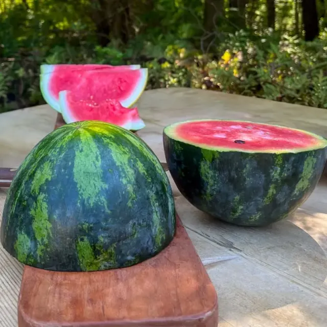 Pinetree Garden Seeds Crimson Sweet Watermelon Seeds 20 Seeds Organic