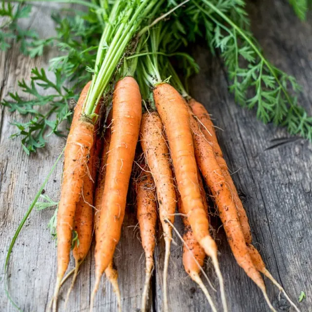 Pinetree Garden Seeds Little Finger Carrot Seeds 300 Pack Baby