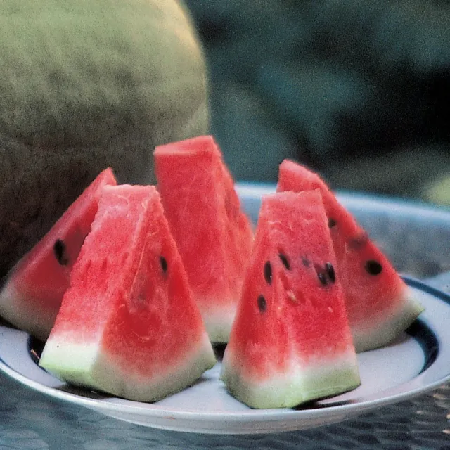Burpee Charleston Gray Watermelon Seeds Fusarium Resistant