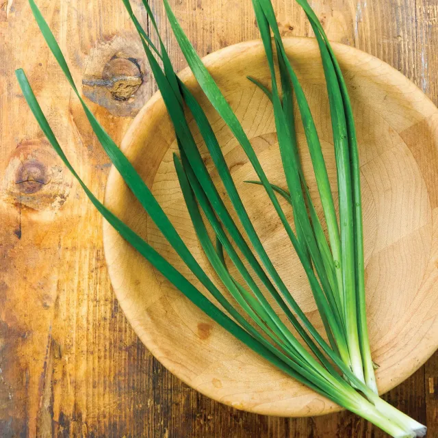 Burpee Allion Chives Seeds 100 Seeds Perennial