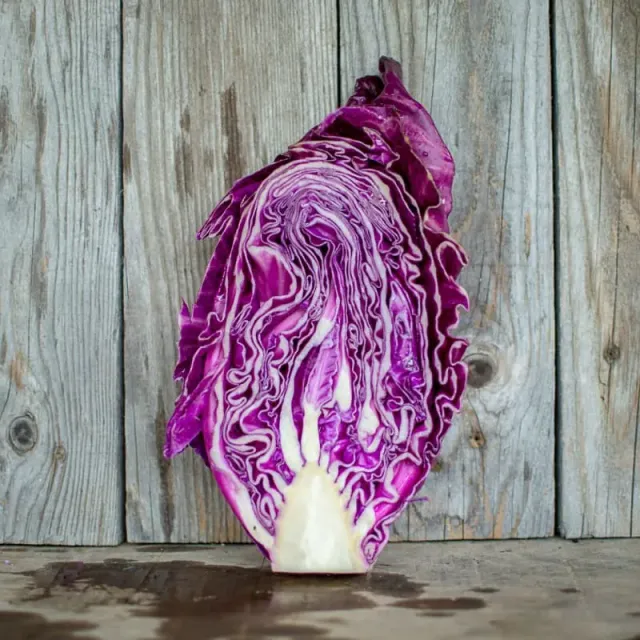 Pinetree Garden Seeds Kalibos Cabbage Seeds 30 Heirloom Conical