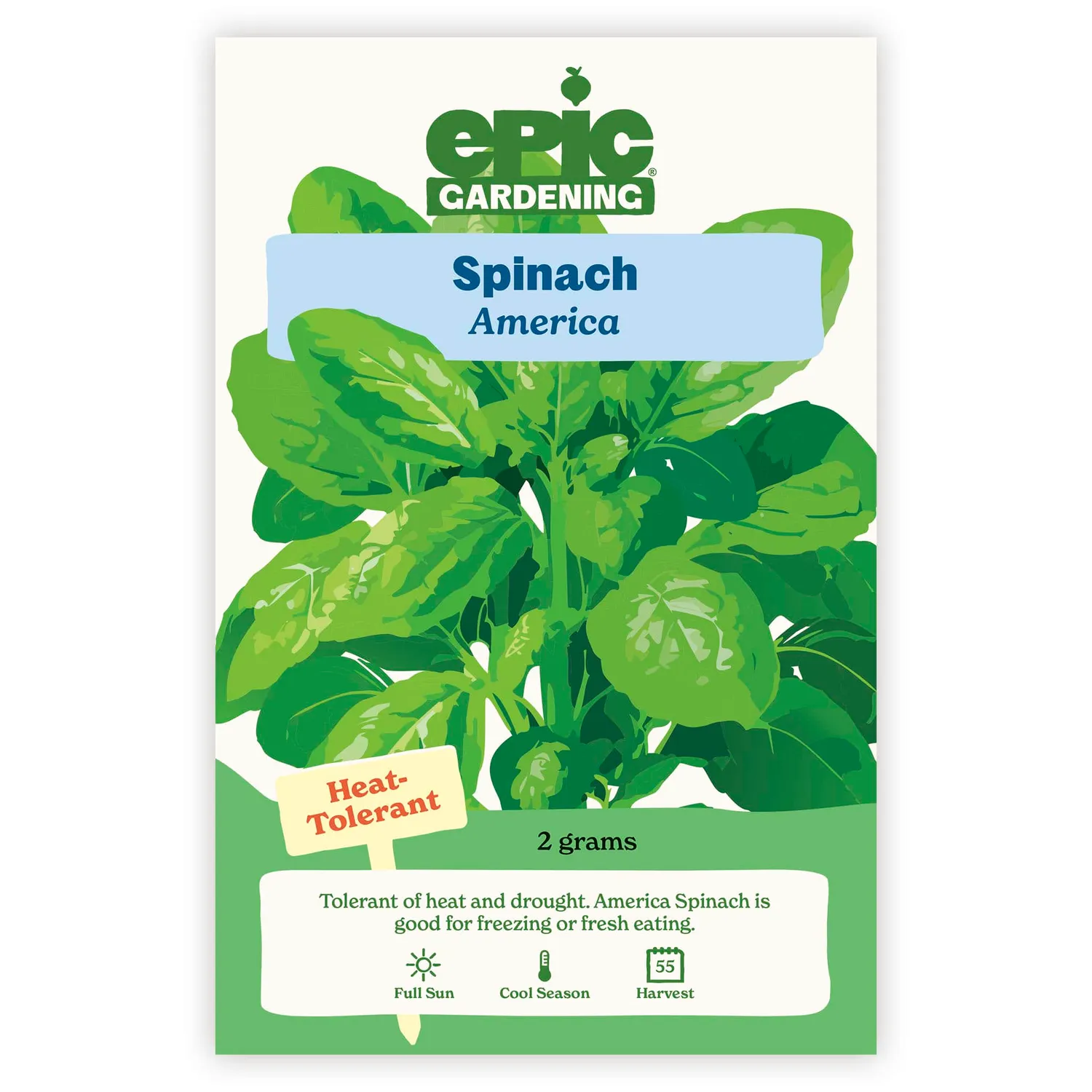 Epic Gardening America Spinach Seeds Heirloom